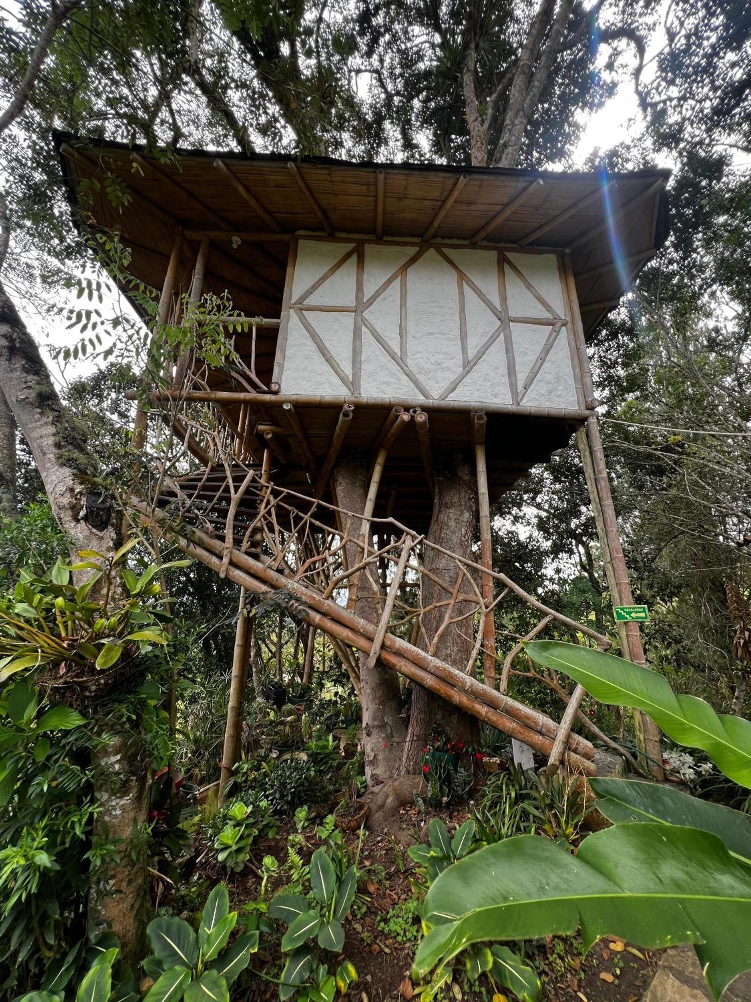 El Cielo 5* San Agustin (Huila)